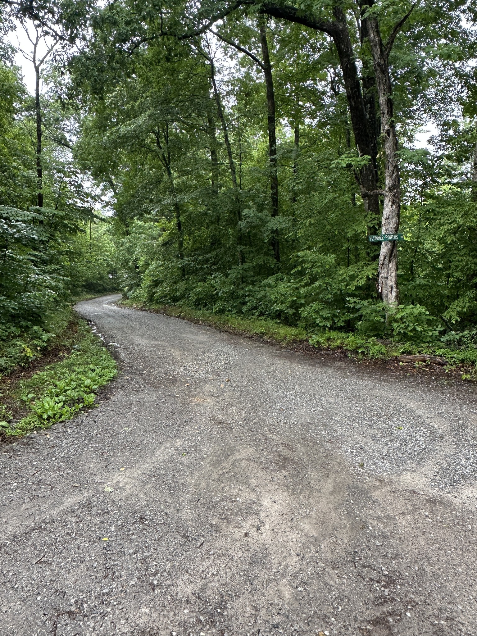 0 Gunson Ridge Road Cumberland City, TN 37050 - Photo 1 of 3 a view of a dirt road with trees in the background