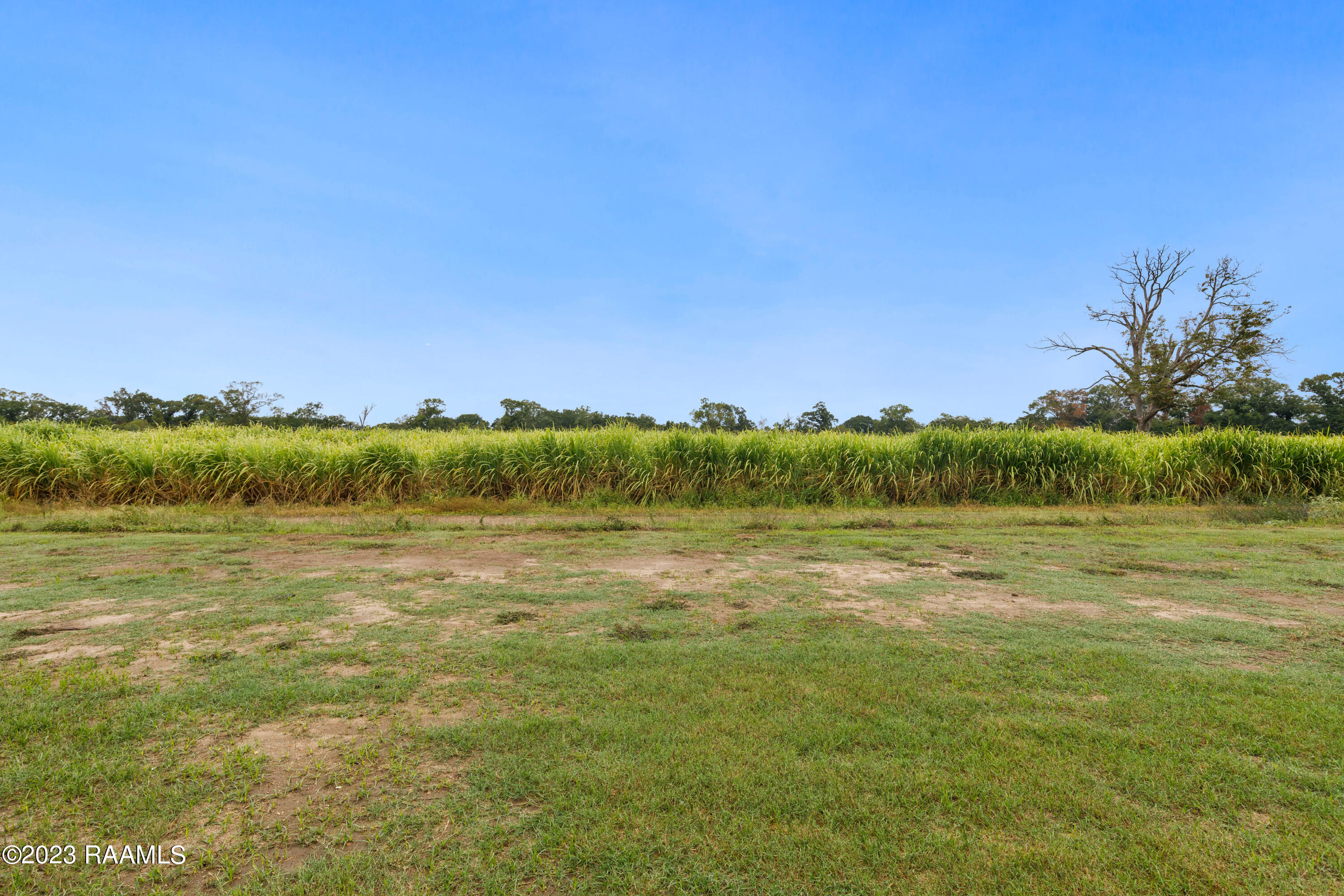 1207 River Road Breaux Bridge, LA 70517 - Photo 36 of 40 1207RiverRd-9