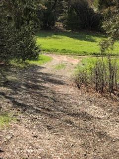 38 North Box Cyn Road Springdale, UT 84767 - Photo 16 of 20 16 Roadway - Cabin to Main Road looking