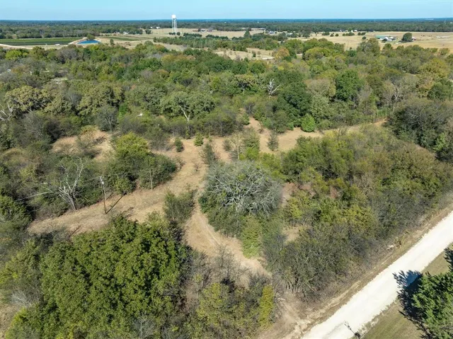 a view of a forest with a yard