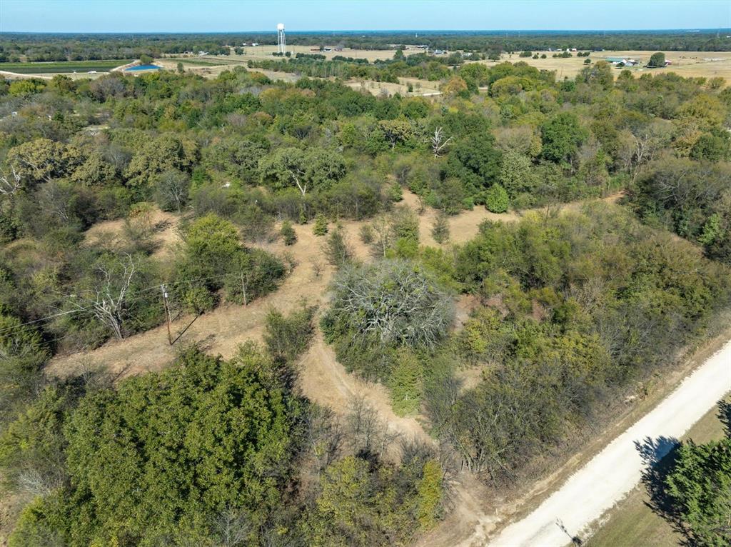 2805 County Road 3507 Wills Point, TX 75169 - Photo 11 of 16 a view of a forest with a yard