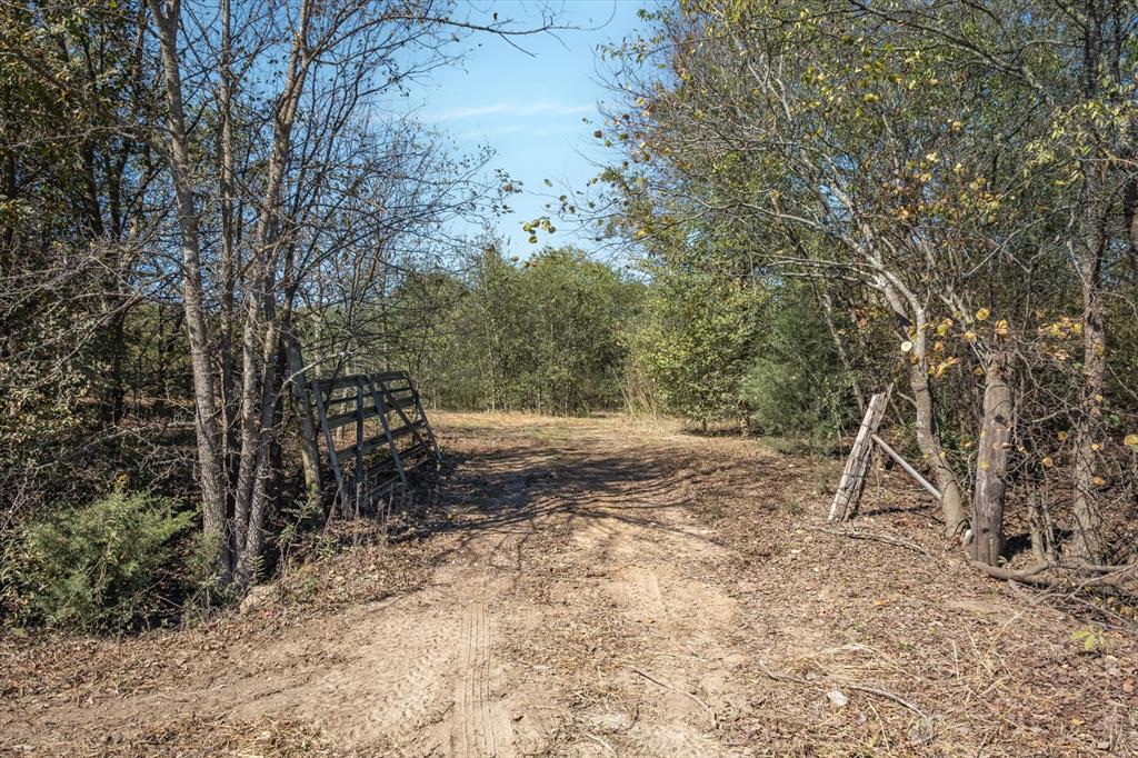 2805 County Road 3507 Wills Point, TX 75169 - Photo 2 of 16 a backyard of a house with lots of trees