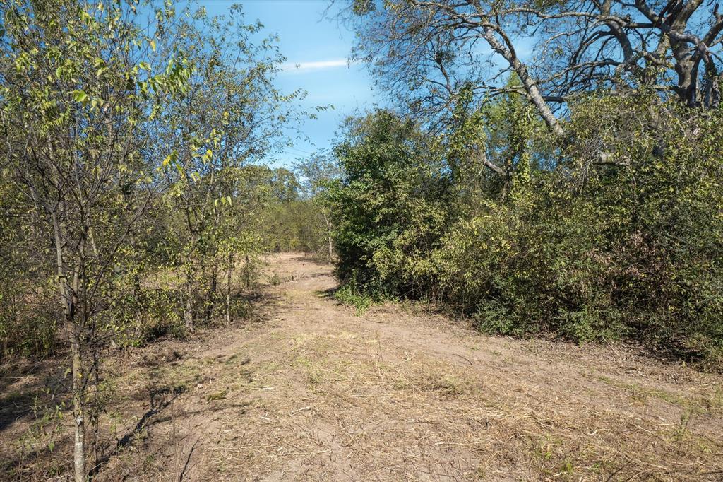 2805 County Road 3507 Wills Point, TX 75169 - Photo 3 of 16 a view of a yard with a tree