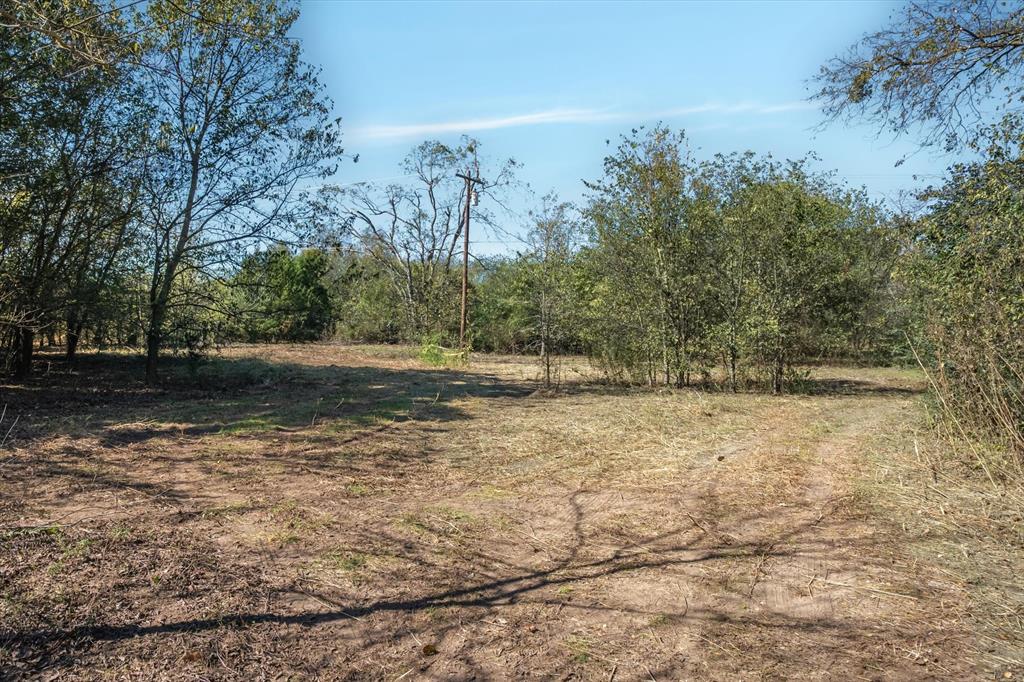 2805 County Road 3507 Wills Point, TX 75169 - Photo 4 of 16 a view of backyard with green space