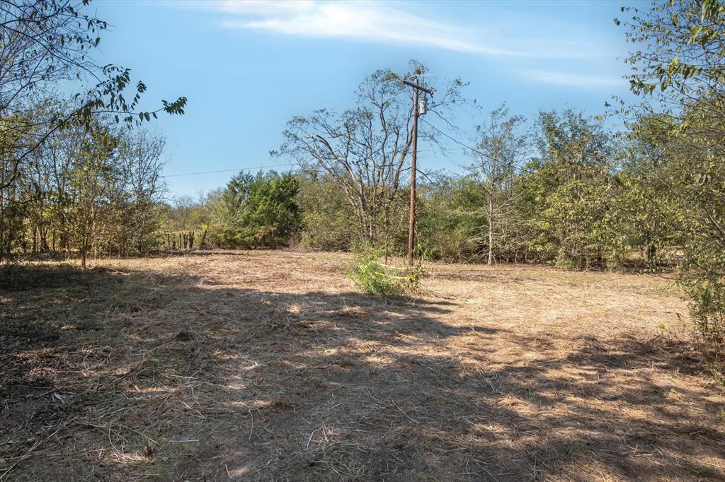 2805 County Road 3507 Wills Point, TX 75169 - Photo 5 of 16 a view of a yard with a tree