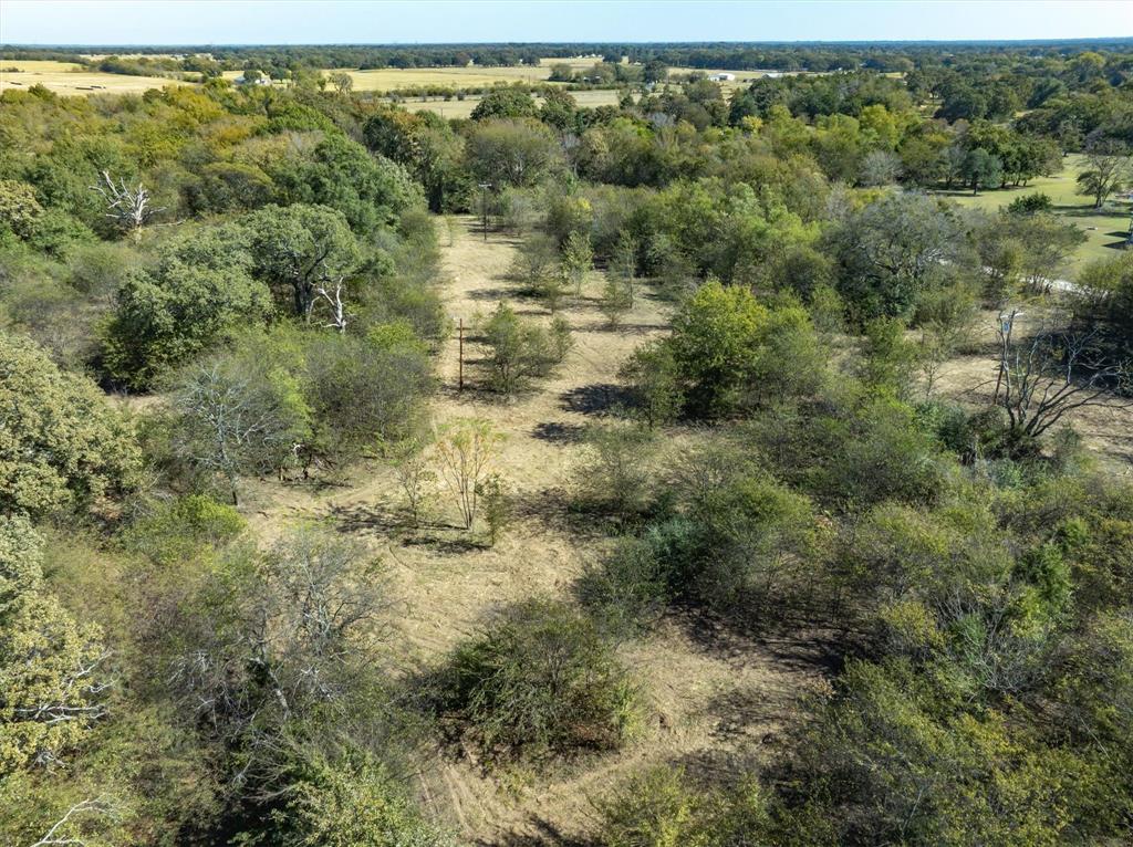 2805 County Road 3507 Wills Point, TX 75169 - Photo 8 of 16 a view of a forest with a street