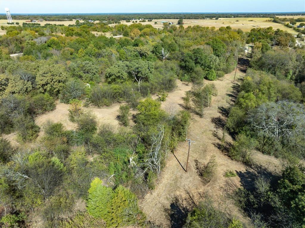 2805 County Road 3507 Wills Point, TX 75169 - Photo 9 of 16 a view of a forest with a forest