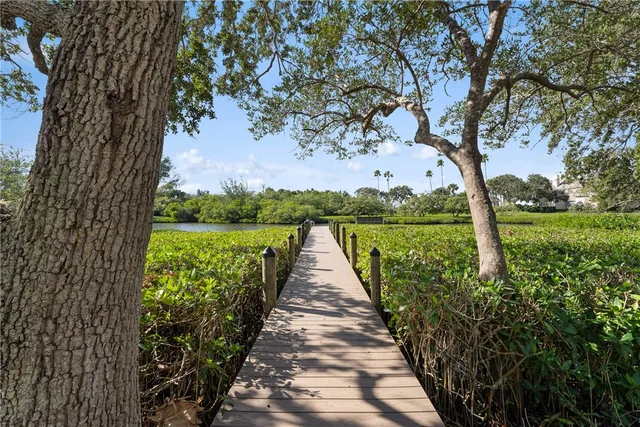 a park with large trees