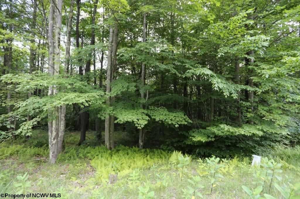 188 Cabin Mountain Road Davis, WV 26260 - Photo 11 of 15 Gallery Image 11