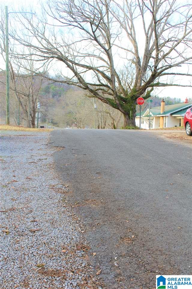 201 Adams Avenue West Oneonta, AL 35121 - Photo 36 of 37