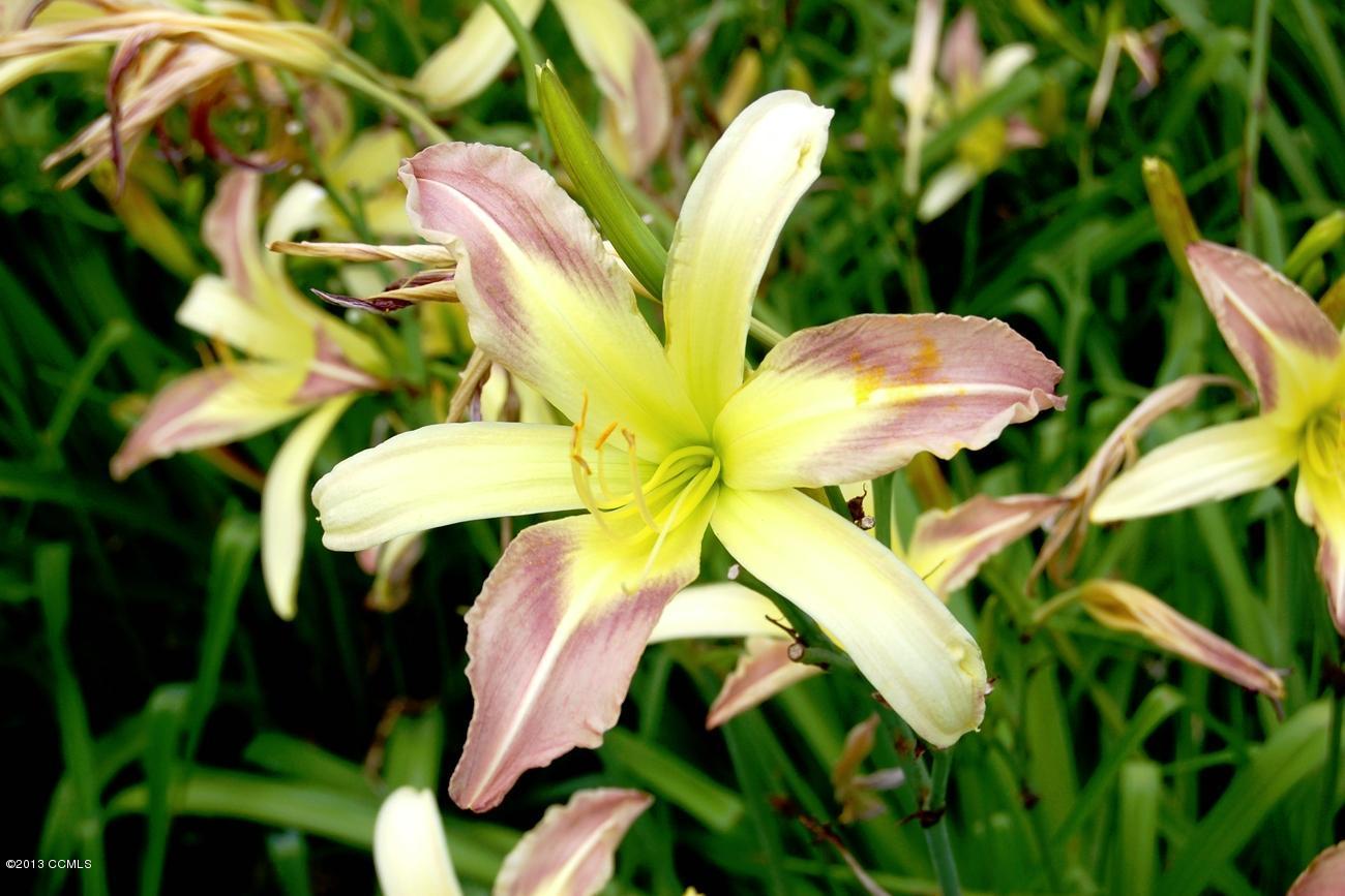 177 Community Road Davis, NC 28524 - Photo 92 of 154 49-C