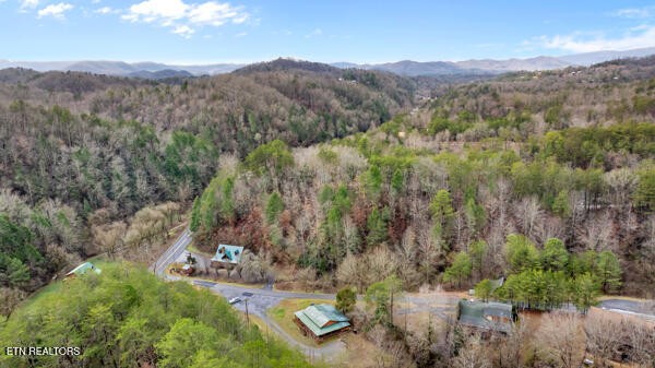 1999 East Mountain View Way Sevierville, TN 37876 - Photo 33 of 36
