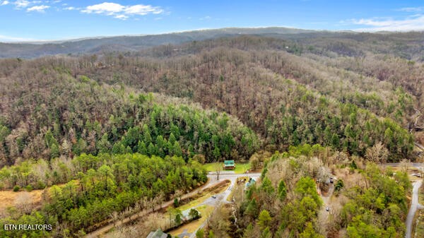 1999 East Mountain View Way Sevierville, TN 37876 - Photo 34 of 36