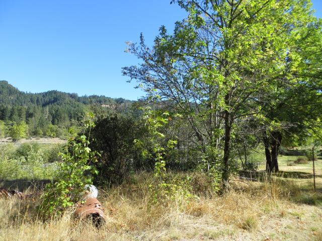 2500 Van Duzen Road Bridgeville, CA 95526 - Photo 40 of 48