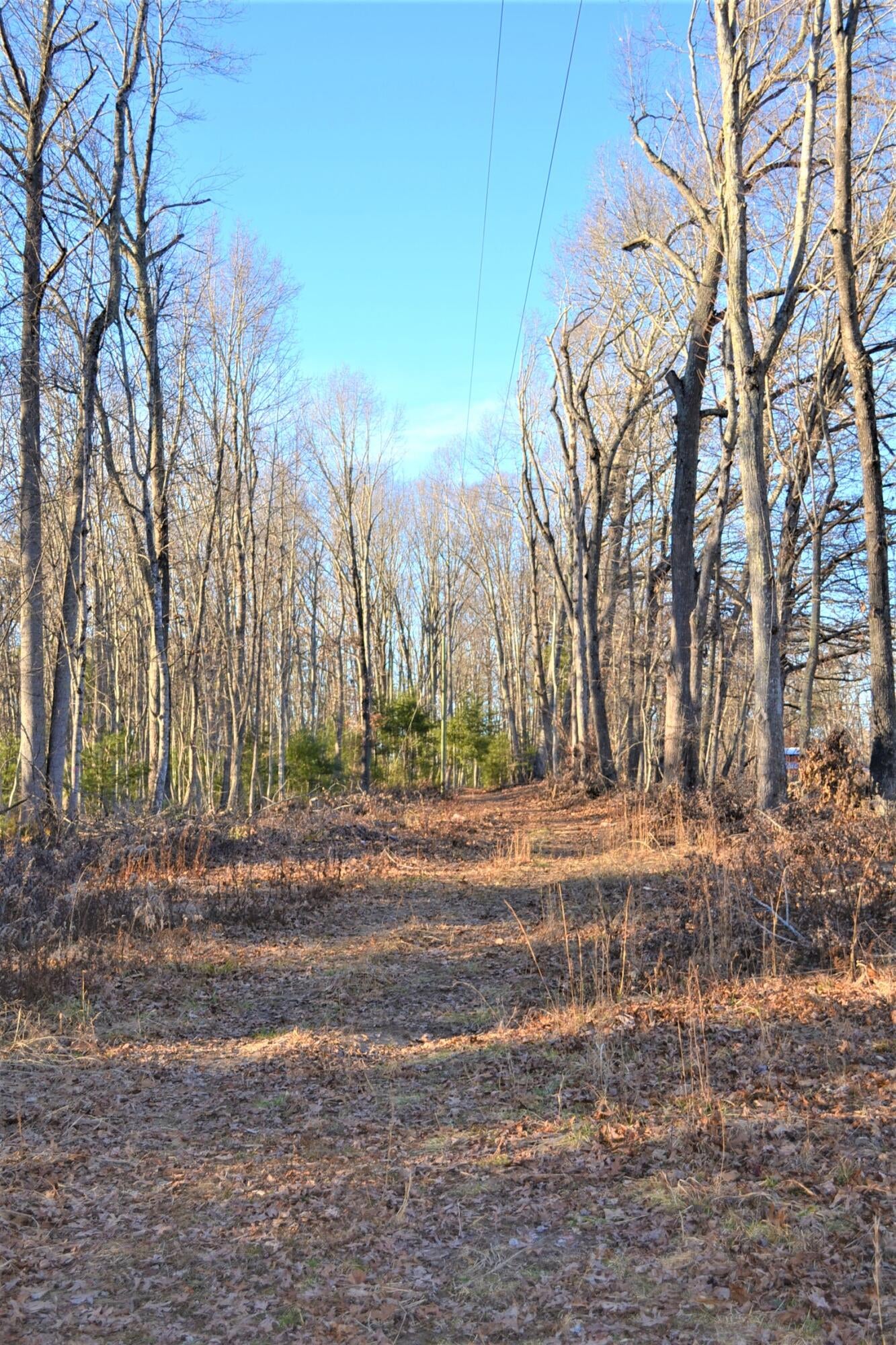 Ranchero Road Ballard, WV 24918 - Photo 3 of 26 Gallery Image 3