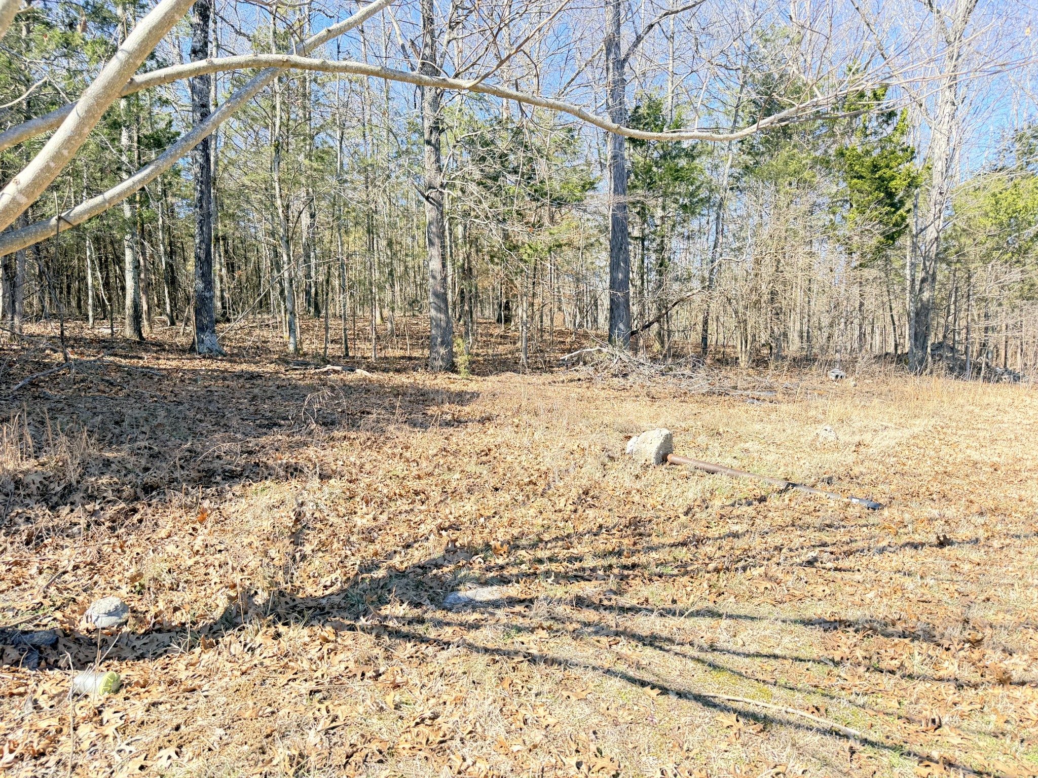 1418 Denathard Road Lewisburg, TN 37091 - Photo 36 of 37