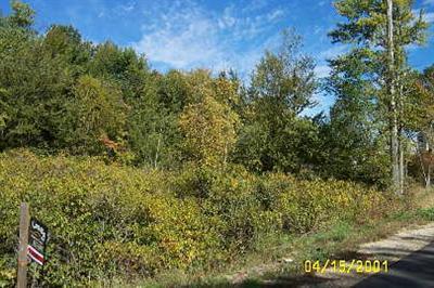 Bailey Road, Unit APP 1 Bailey, MI 49303 - Photo 1 of 1 Primary Photo