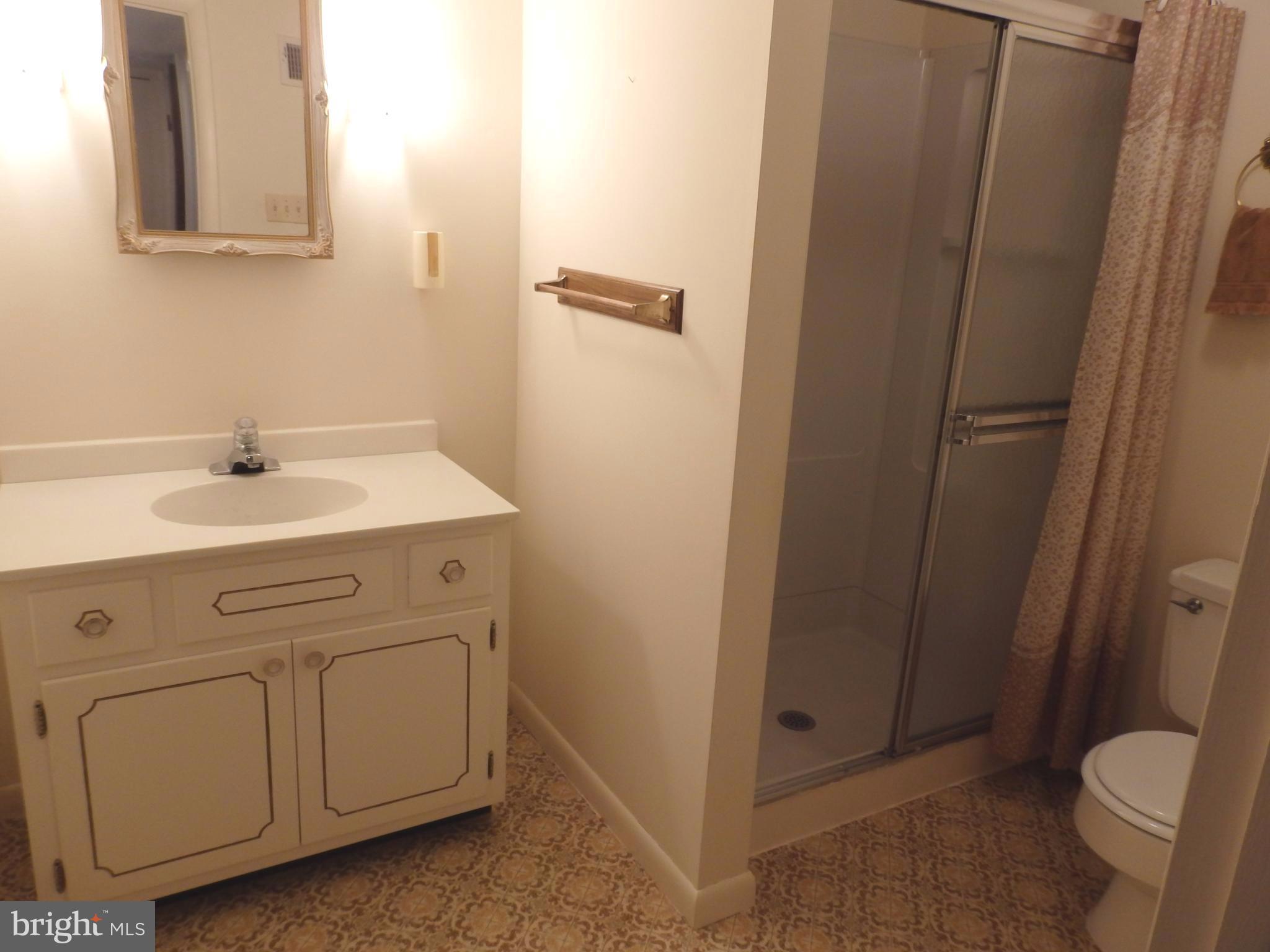 3 Crum Road Walkersville, MD 21793 - Photo 20 of 30 Convenient hall bath in lower level
