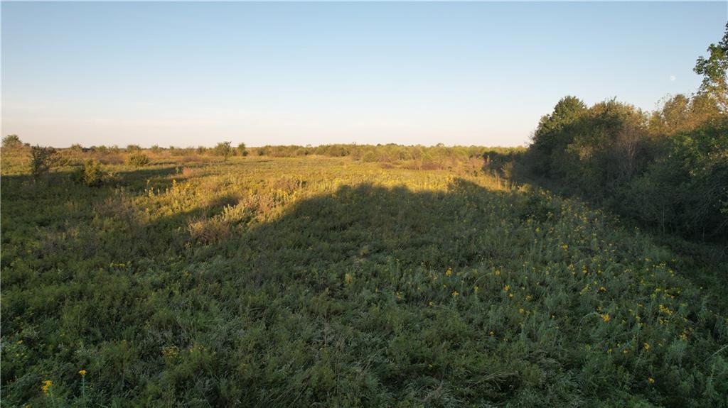 890 Northwest 100th Road Liberal, MO 64762 - Photo 10 of 15 Gallery Image 10