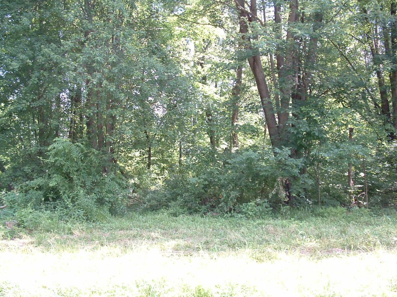 0 Clover Valley Road Northwest Johnstown, OH 43031 - Photo 16 of 16 DSCF0016