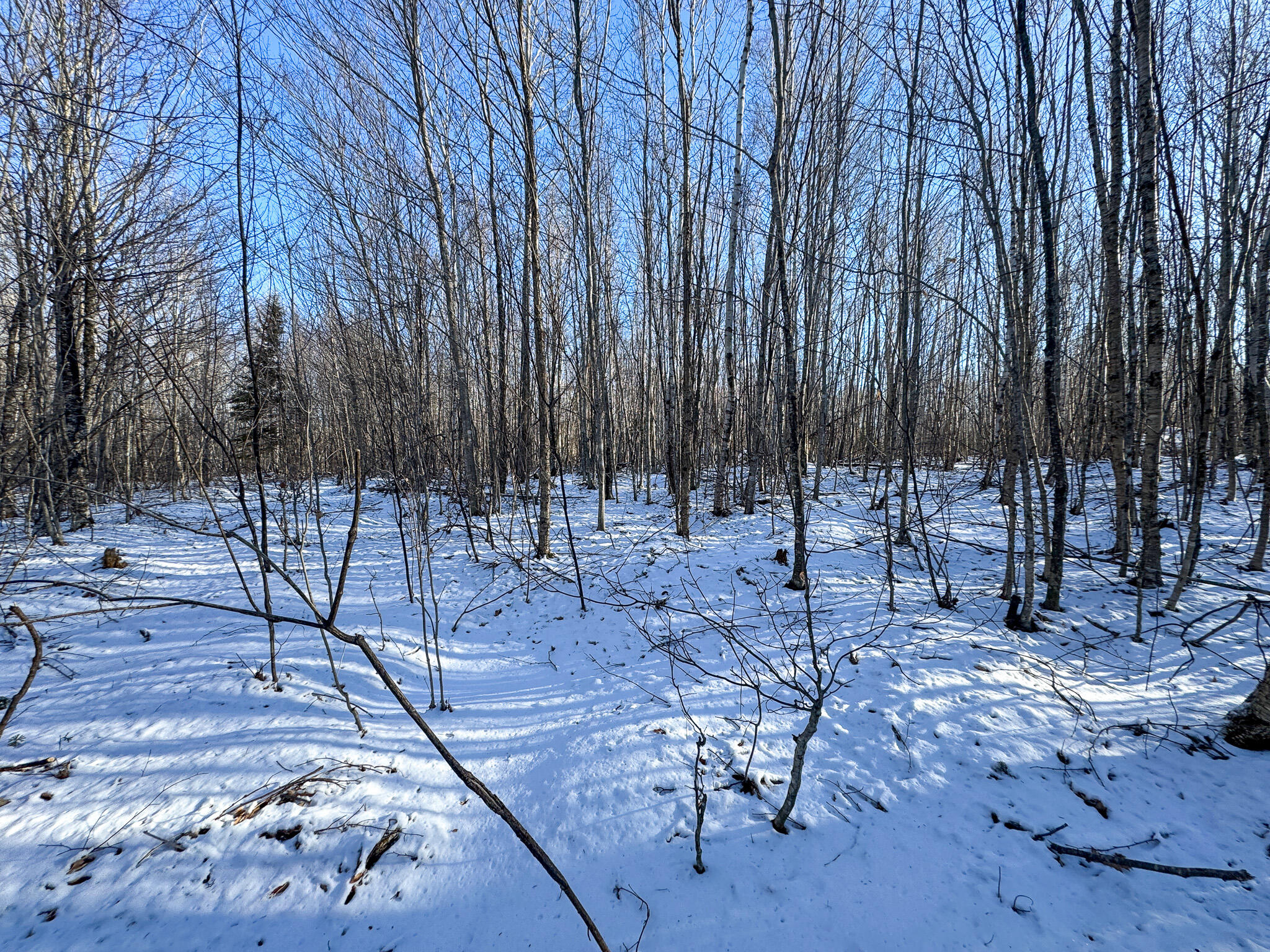 Lot 15 Upper Dobsis Road Lakeville, ME 04487 - Photo 15 of 35 15