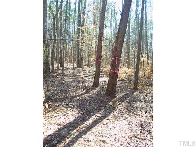0 Mary Hall Road, Unit 12 Rougemont, NC 27572 - Photo 22 of 25 a view of a yard with trees