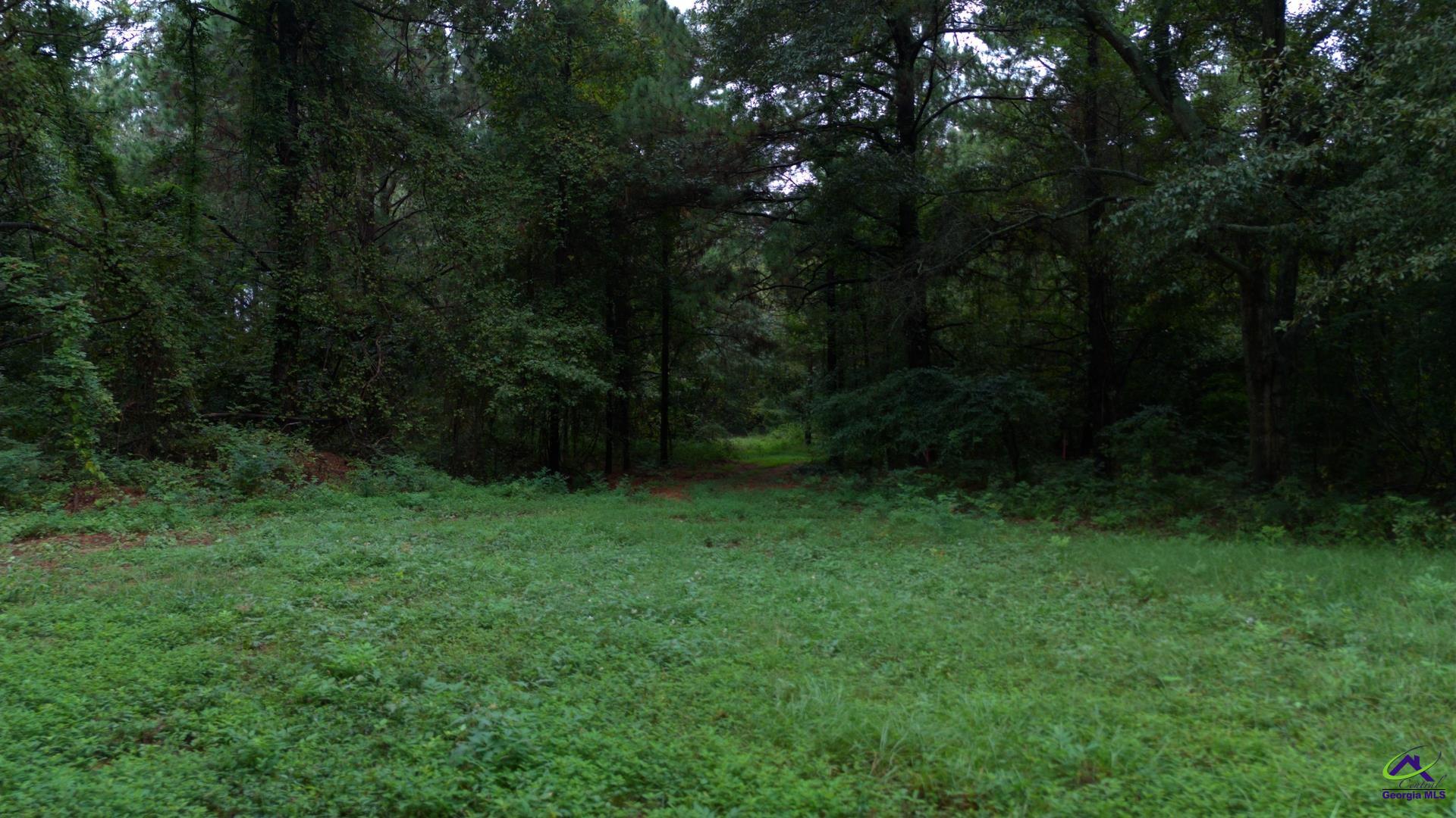 Grovania Road Elko, GA 31025 - Photo 21 of 23