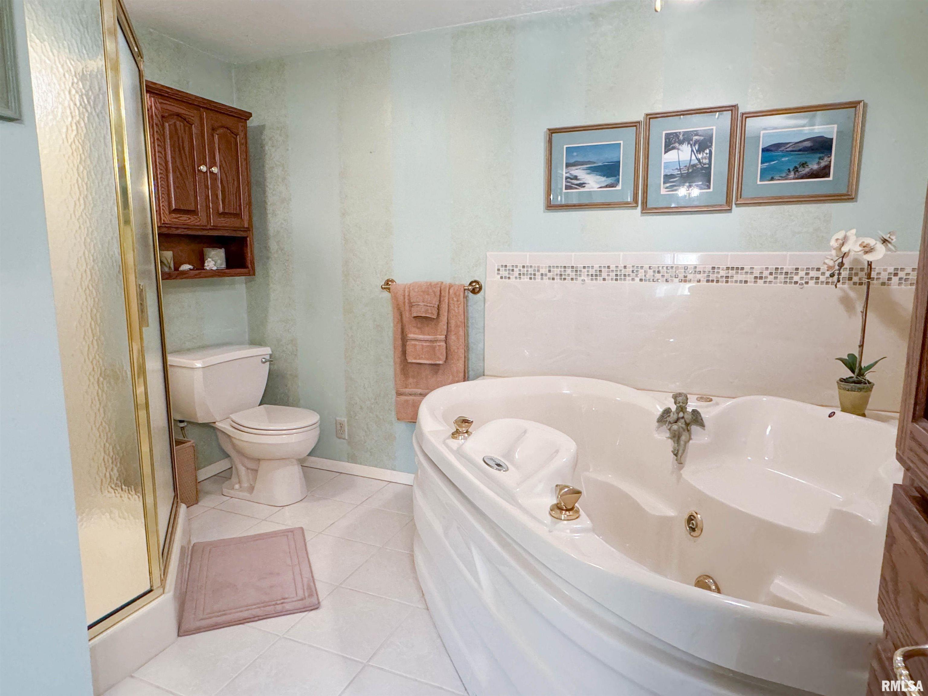 480 Brown Section Road Cobden, IL 62920 - Photo 43 of 53 Gallery Image 43