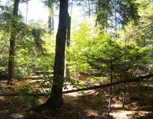 Lot 46 Beech Ridge Road Ellsworth, ME 04605 - Photo 3 of 8 Land.