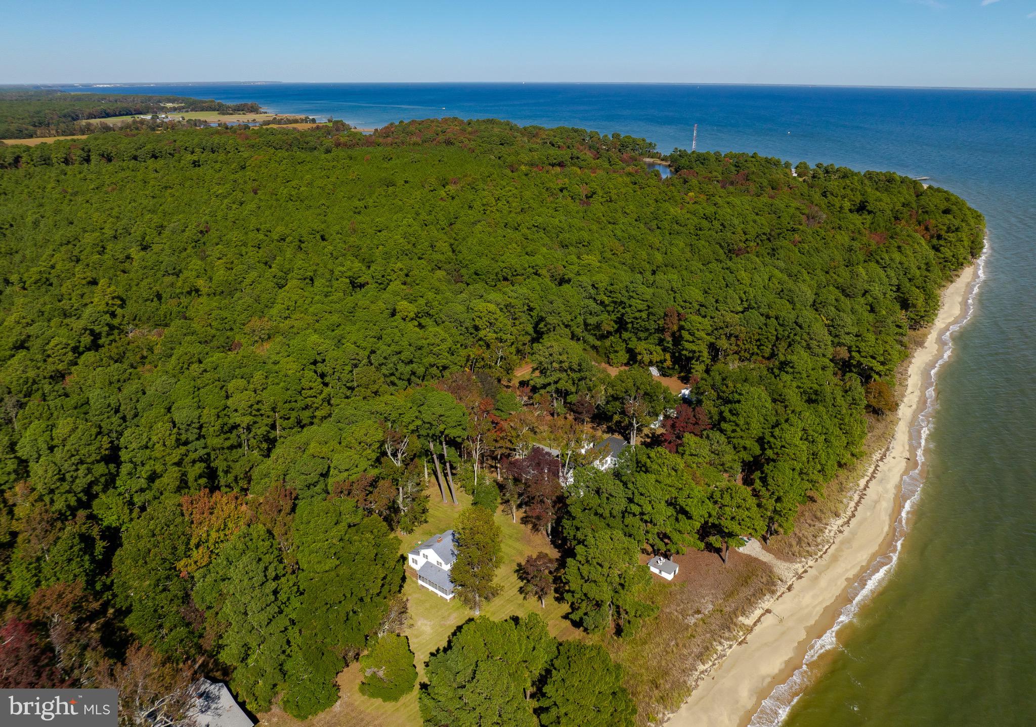 50645 Holly Point Road Dameron, MD 20628 - Photo 41 of 99