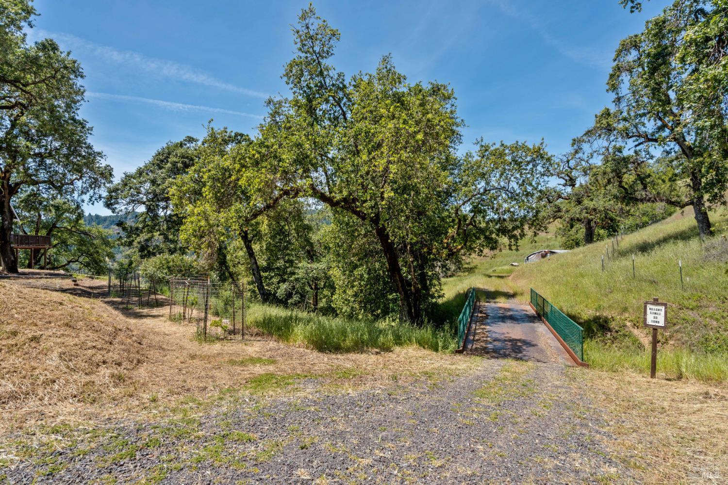 14590 Ridgeview Road Willits, CA 95490 - Photo 22 of 37 a view of backyard with green space