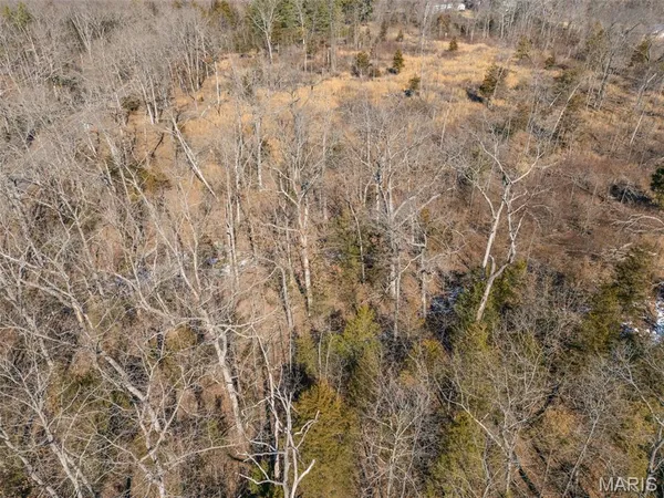 $149,999 | 0 Highway M Irondale Mo 63648, Irondale, MO 63648