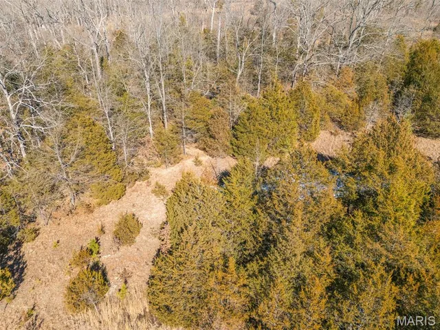 $149,999 | 0 Highway M Irondale Mo 63648, Irondale, MO 63648