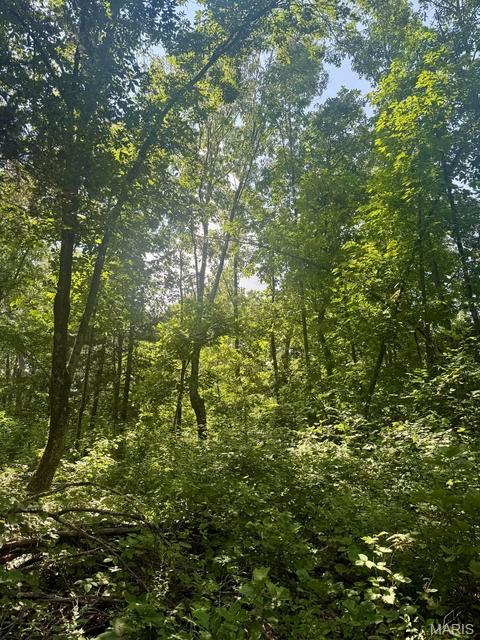 10595 Mill Road Bucyrus, MO 65444 - Photo 31 of 34