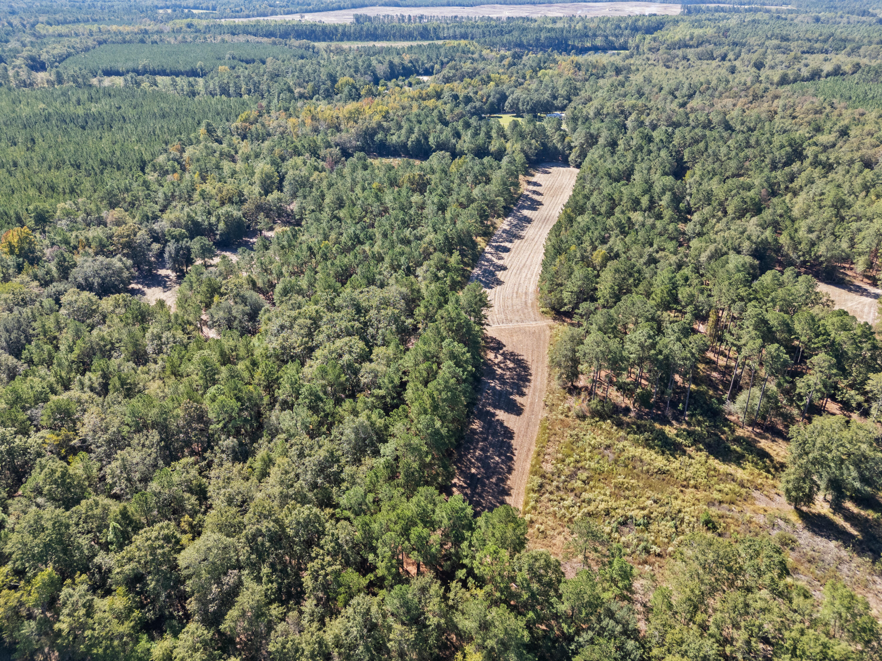 7901 State Rd S-6-169 Blackville, SC 29817 - Photo 80 of 89