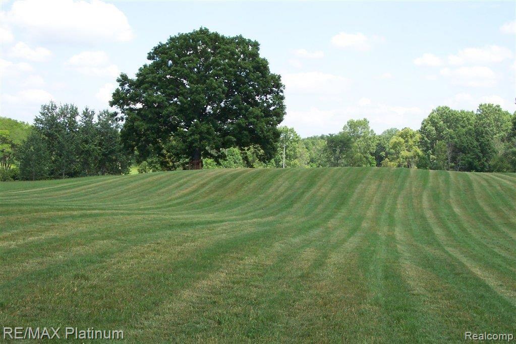 1201 Argentine Road Howell, MI 48843 - Photo 10 of 12 Slope West from Pond.JPG