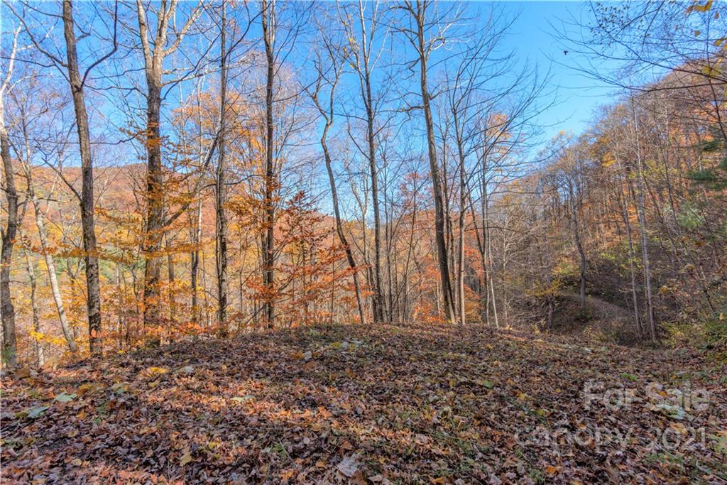 8 A Chestnut Flats Road, Unit 8A Waynesville, NC 28786 - Photo 2 of 16 Gallery Image 2