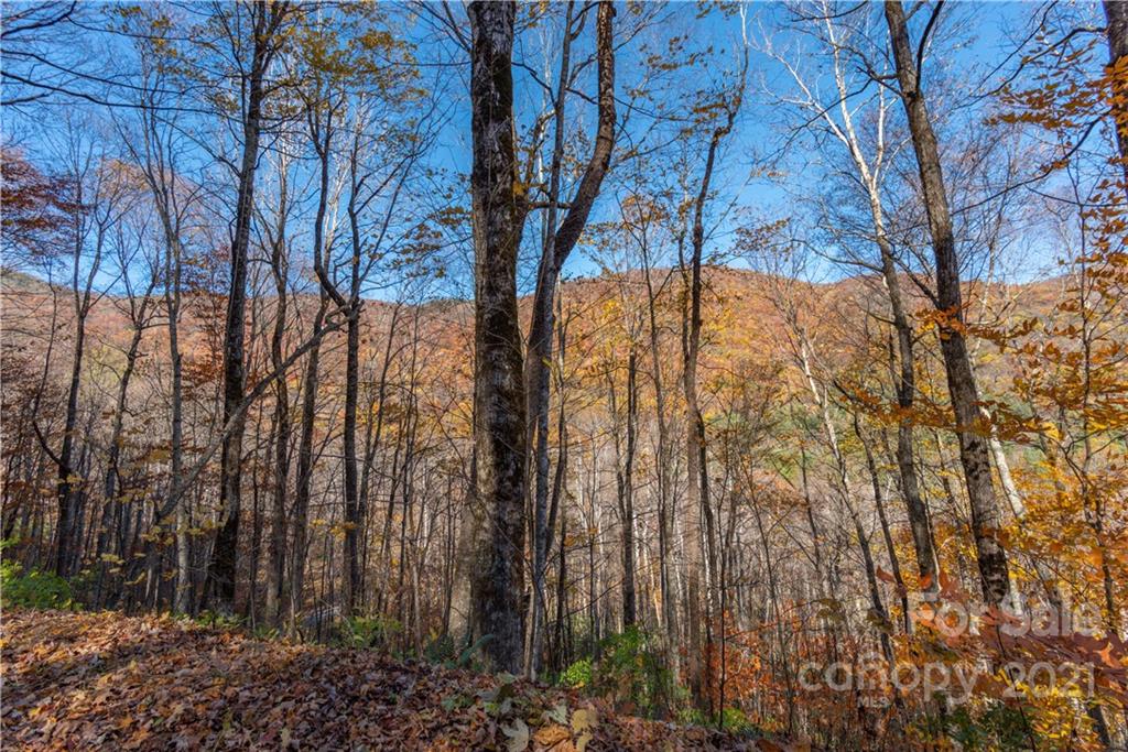 8 A Chestnut Flats Road, Unit 8A Waynesville, NC 28786 - Photo 3 of 16 Gallery Image 3
