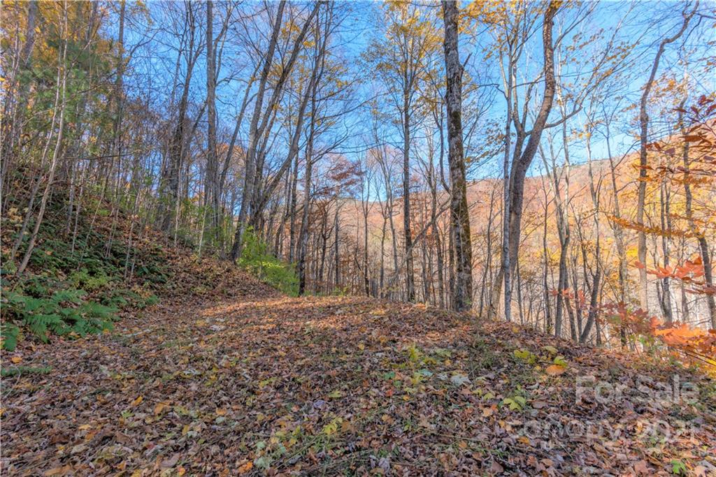 8 A Chestnut Flats Road, Unit 8A Waynesville, NC 28786 - Photo 5 of 16 Gallery Image 5