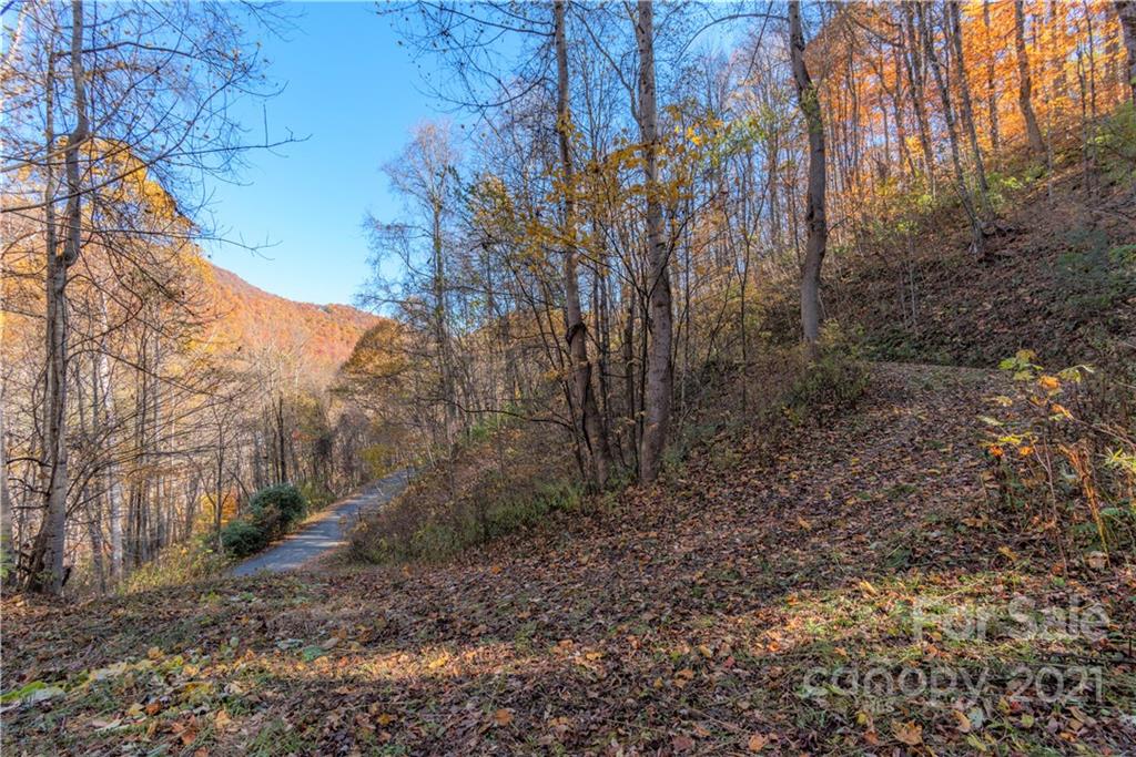 8 A Chestnut Flats Road, Unit 8A Waynesville, NC 28786 - Photo 6 of 16 Gallery Image 6
