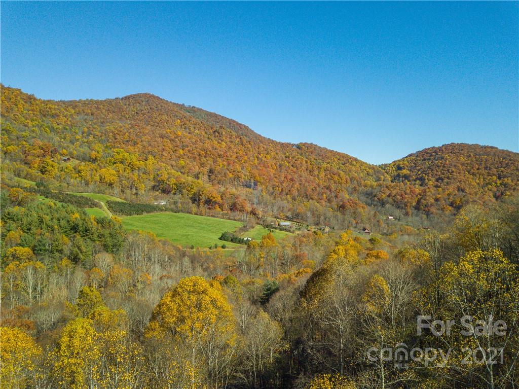 8 A Chestnut Flats Road, Unit 8A Waynesville, NC 28786 - Photo 7 of 16 Gallery Image 7