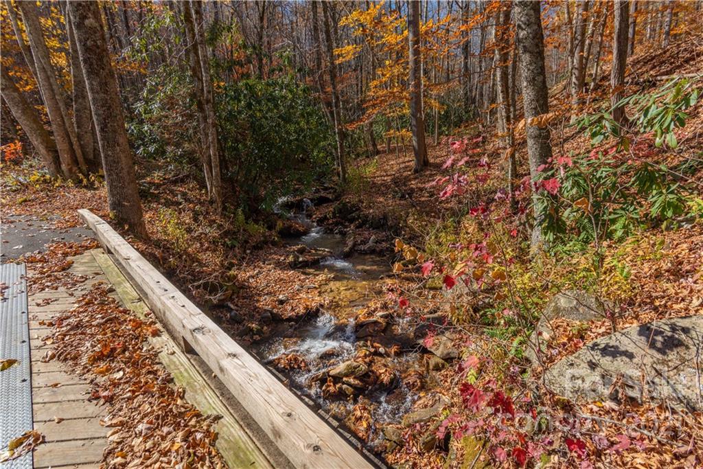 8 A Chestnut Flats Road, Unit 8A Waynesville, NC 28786 - Photo 8 of 16 Gallery Image 8