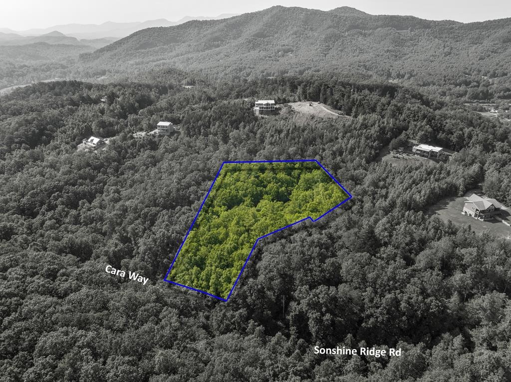 14 Cara Way Cosby, TN 37722 - Photo 16 of 18