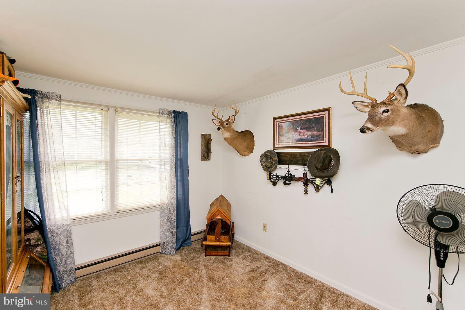449 Ruebuck Road Clear Brook, VA 22624 - Photo 19 of 34 Second bedroom