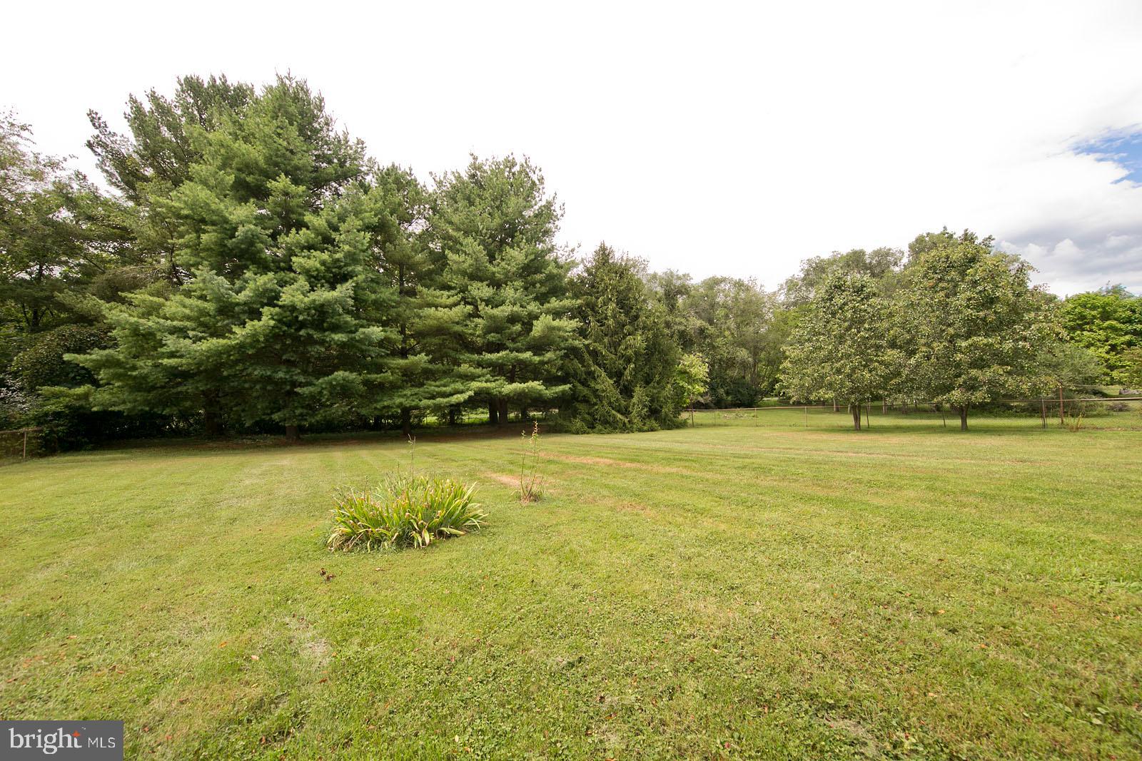 449 Ruebuck Road Clear Brook, VA 22624 - Photo 6 of 34 Fantastic lot backing to trees