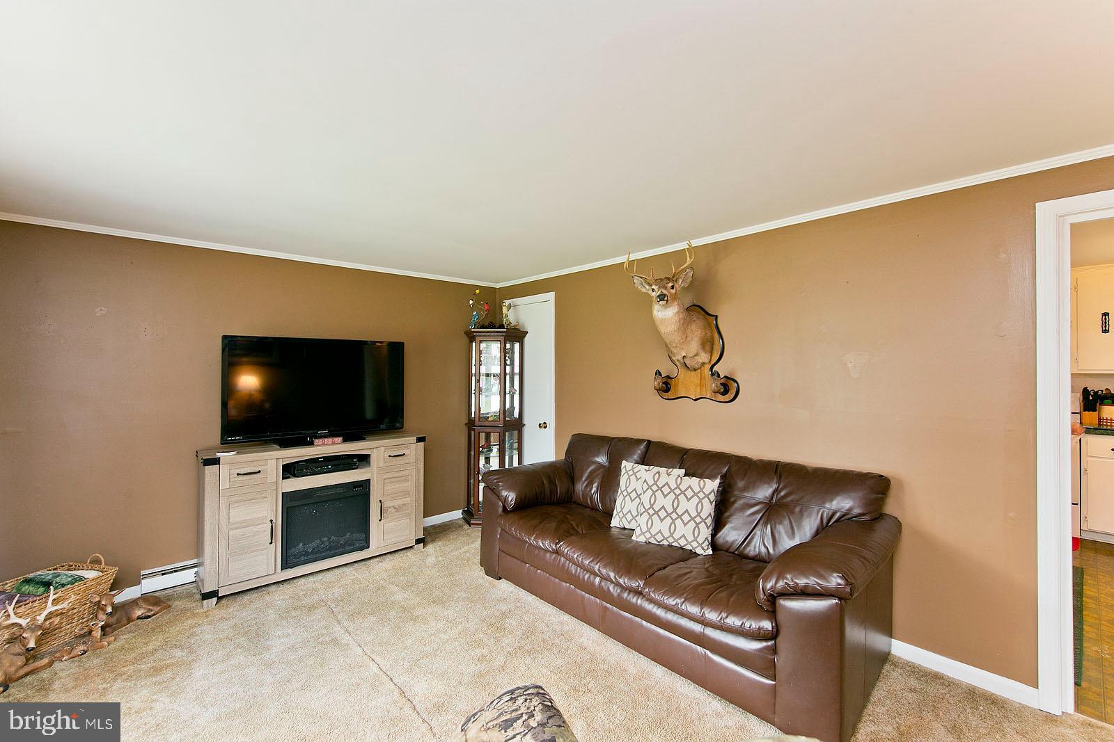 449 Ruebuck Road Clear Brook, VA 22624 - Photo 7 of 34 Living room