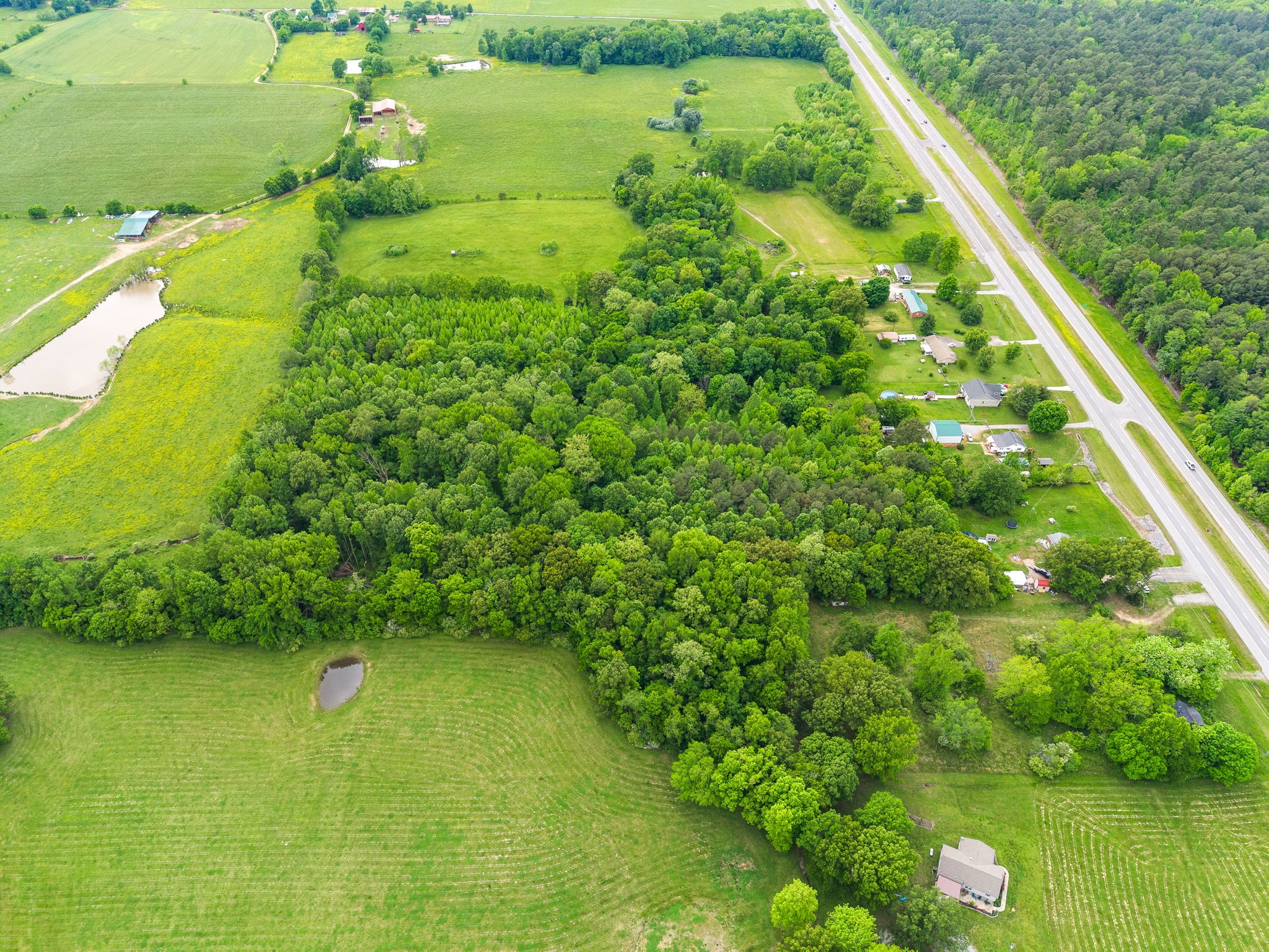 4888 Dover Road Indian Mound, TN 37079 - Photo 17 of 25 a view of a garden