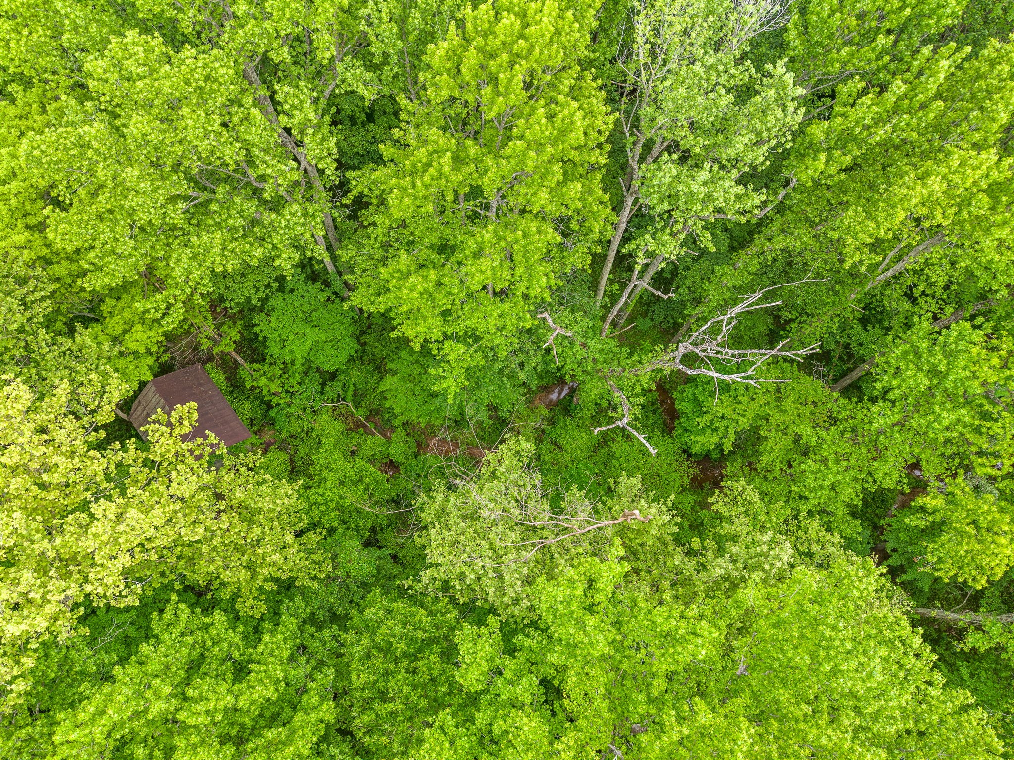 4888 Dover Road Indian Mound, TN 37079 - Photo 23 of 25 a backyard of a house with lots of plants