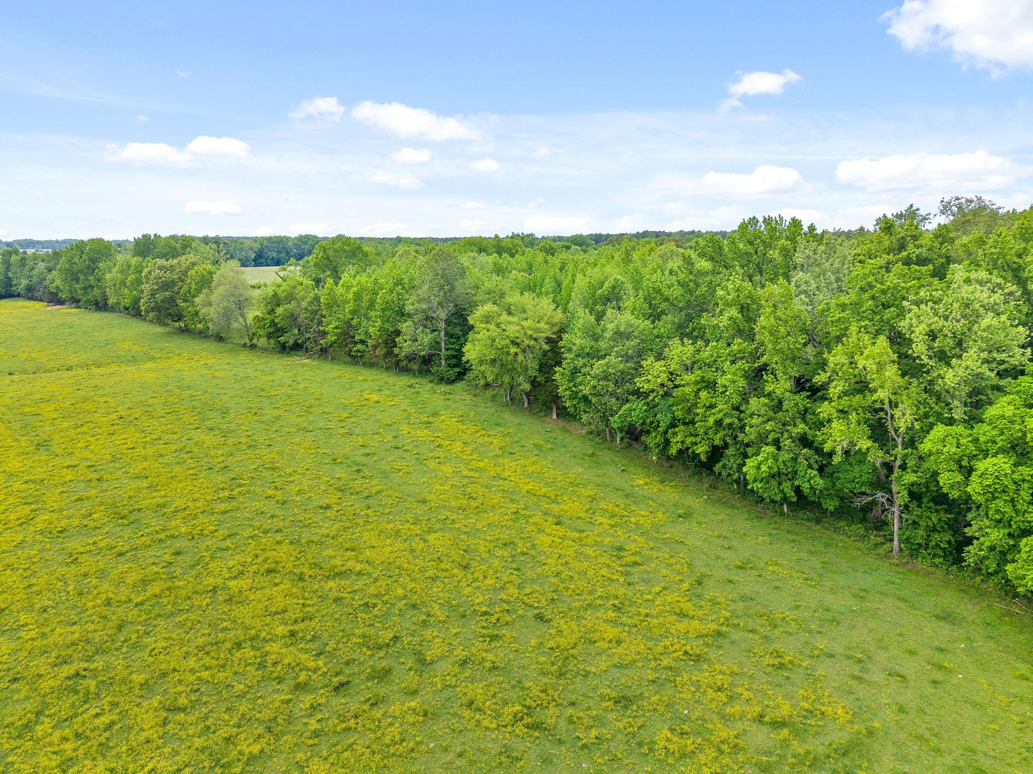 4888 Dover Road Indian Mound, TN 37079 - Photo 25 of 25 a view of a big yard with lots of green space