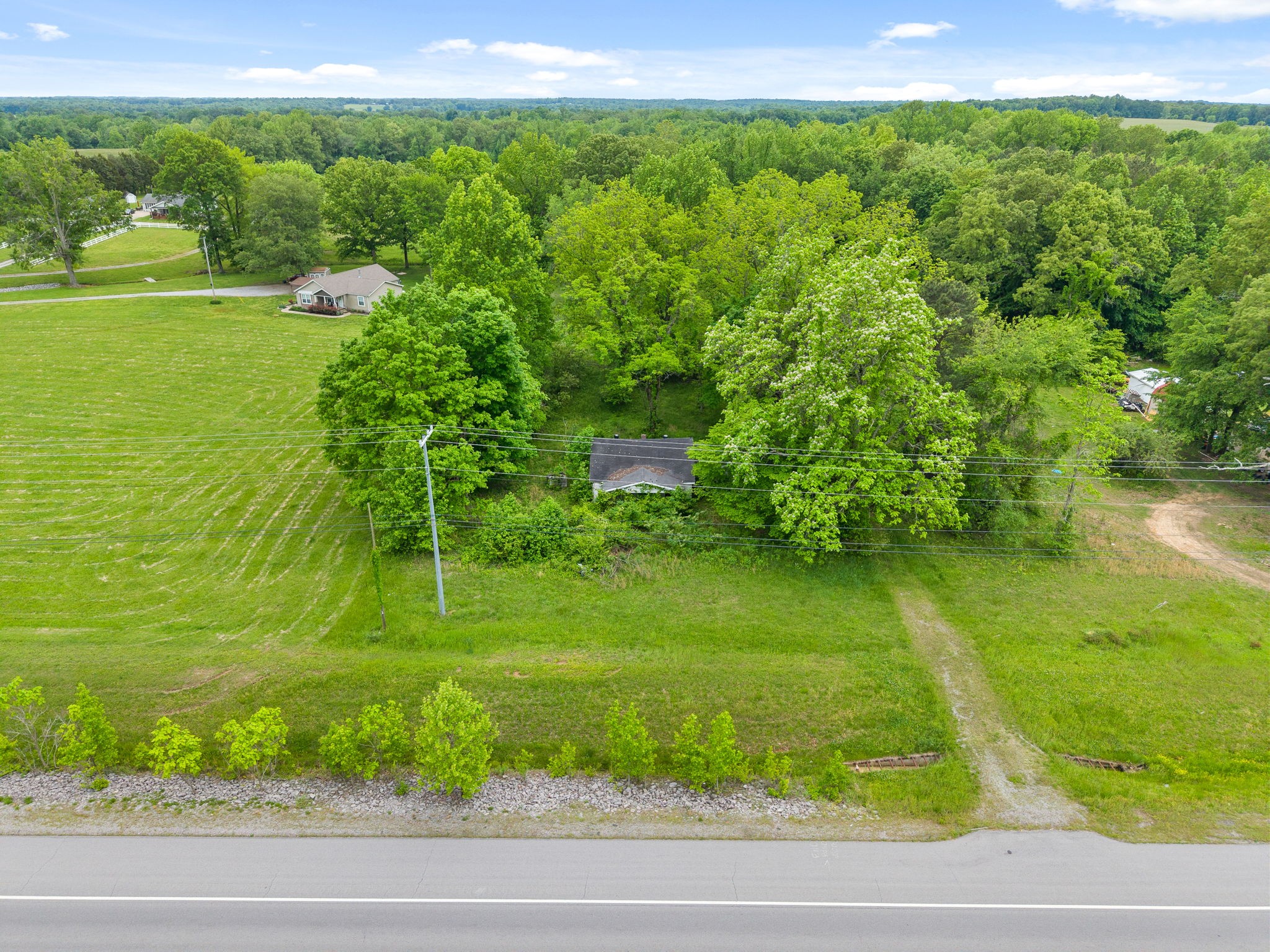4888 Dover Road Indian Mound, TN 37079 - Photo 7 of 25 a view of a garden